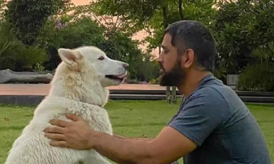 MS Dhoni and pets