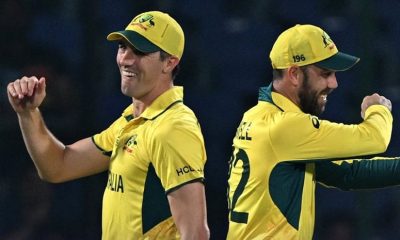 Australia beat Netherlands by 309 runs