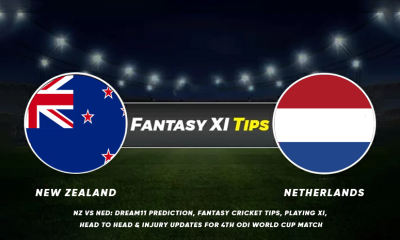 NZ vs NED Dream11
